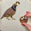 Thumbnail: Sonoran Quail Hanging Ornament