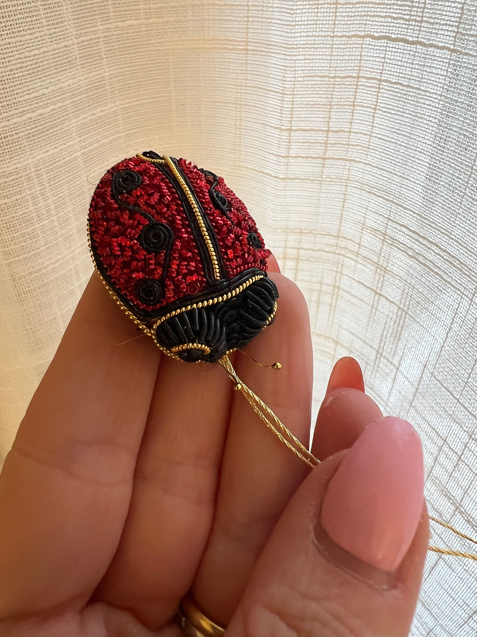 Miniatura: Ladybird: Goldwork & Stumpwork workshop