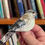 Thumbnail: Northern Mockingbird Brooch