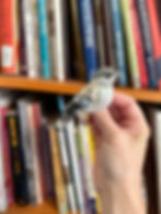 Thumbnail: Northern Mockingbird Brooch