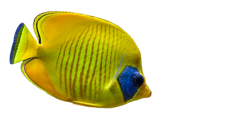 名称未設定のデザイン (18).PNG