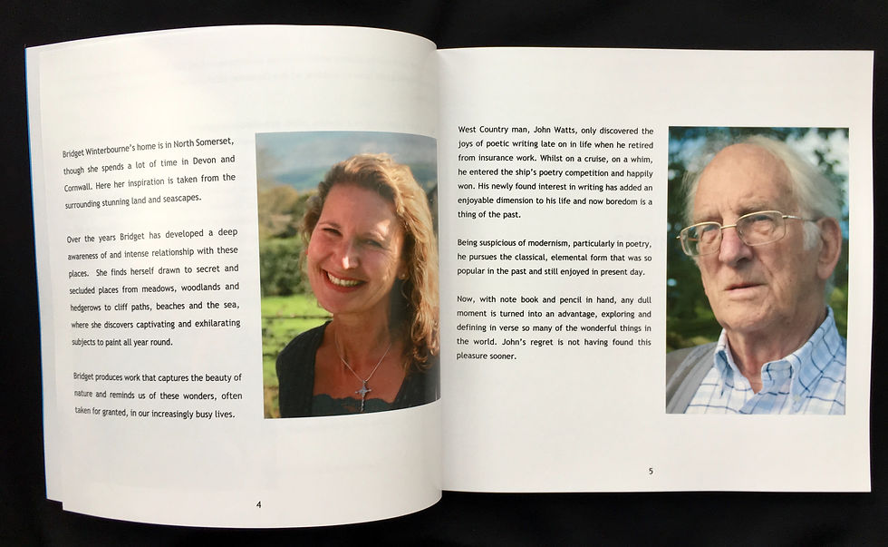 Thumbnail: Book 'The Complete Picture' - Bridget Winterbourne