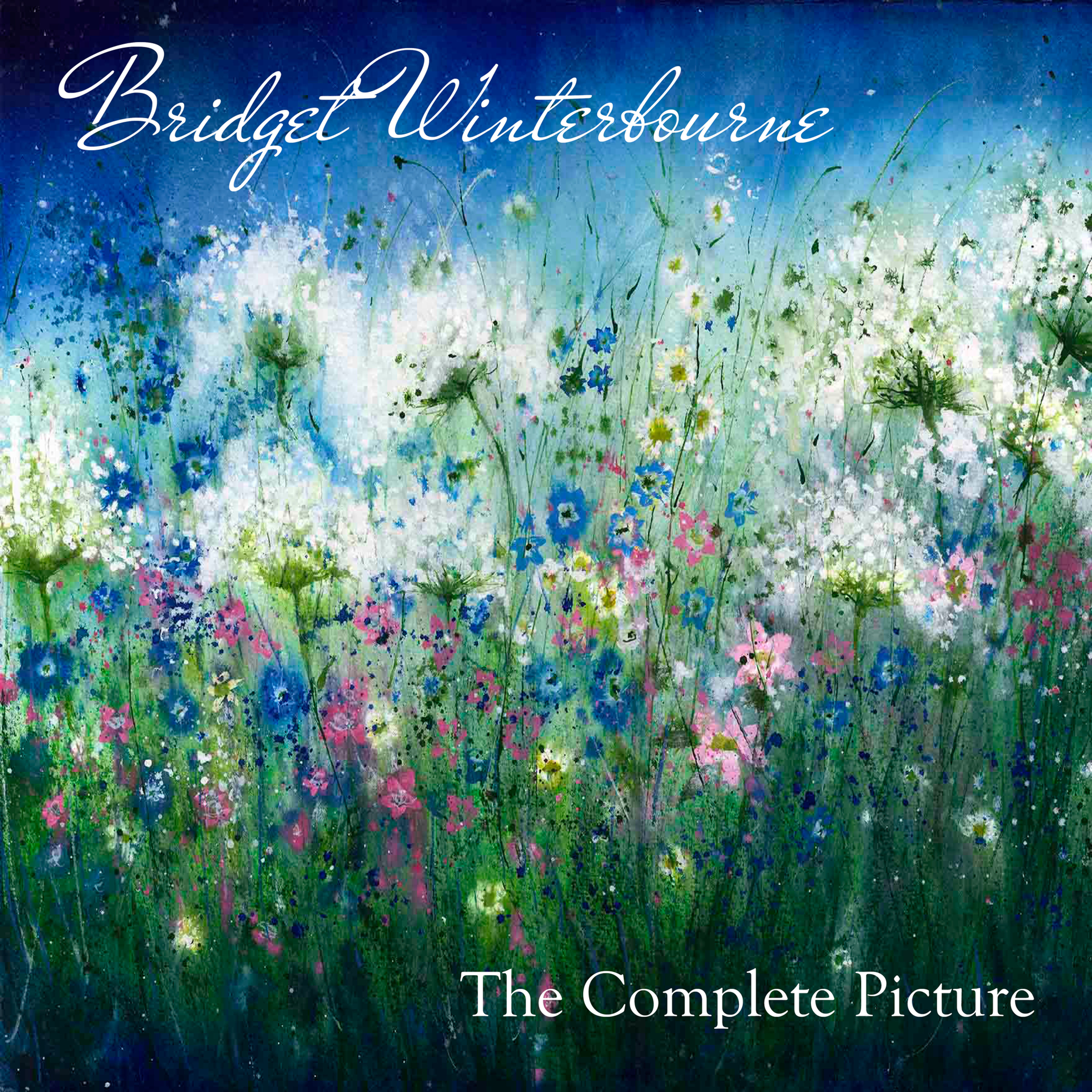 Book 'The Complete Picture' - Bridget Winterbourne