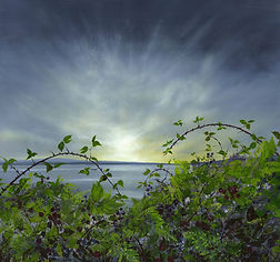 Rise Up To Meet The Sky Bridget Winterbourne Greeting Card