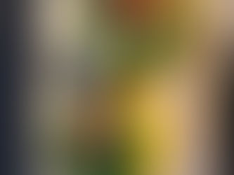 Courgettes farcies végétariennes