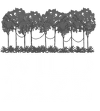 Wild%20Daze%20Logo%20White_edited.png