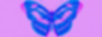 Blur butterfly print on purple background.