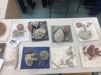 Clay experiments (Teenagers)