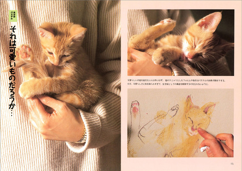 パステル初級レッスン | 視覚デザイン研究所