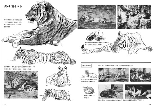動物スケッチ2 大動物編 | 視覚デザイン研究所