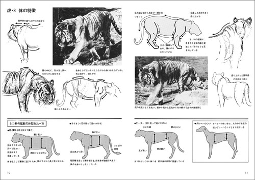 動物スケッチ2 大動物編 | 視覚デザイン研究所