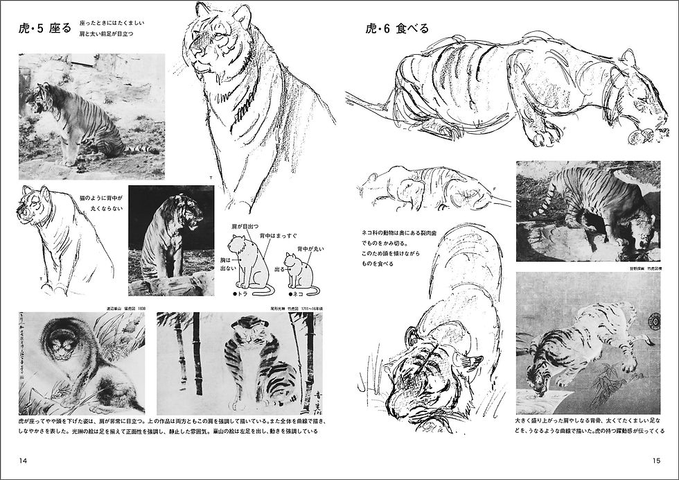 サムネイル： 動物スケッチ２　大動物編