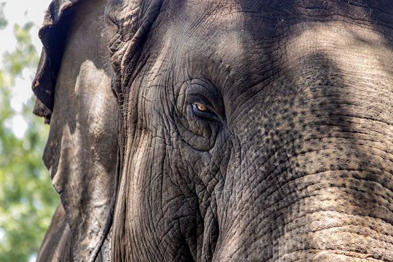 Summer Trip_MH 05.27.11_285.jpg