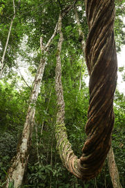 20181209-16_Wedding Cruise_MH_0890.jpg