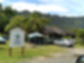 20210410_110951.jpg