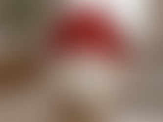 Discover Unique Crochet Gnome Gifts for Sale