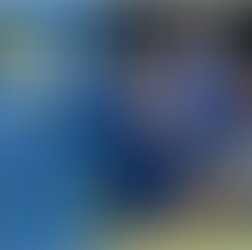 Leinster rugby Camp in Stradbrook 15th-19th August