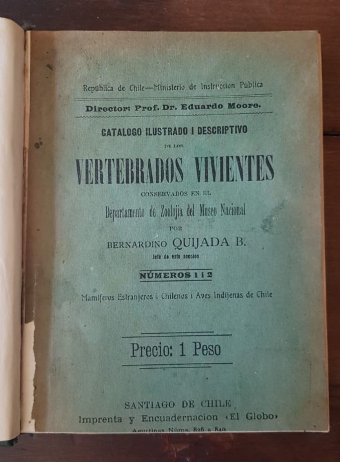 Miniatura: Colección mamíferos vivientes - Bernardino Quijada