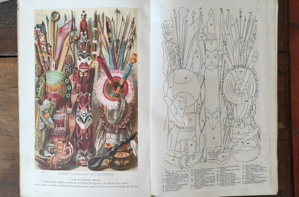 Miniatura: América - Rodolfo Cronau