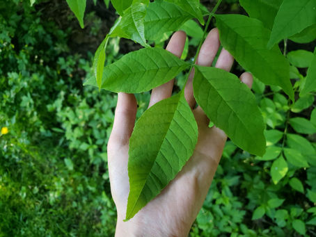 Give When You Can, Receive When You Need