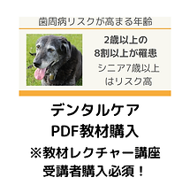 デンタルケアPDF教材購入
