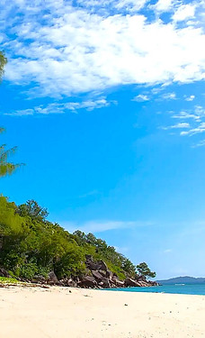 praslin-anse-la-farine-03.jpg