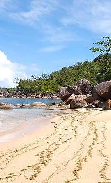 praslin-anse-petite-cour-11.jpg