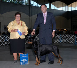 Luna's 1st BOW!