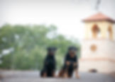Cash & Luna@ Ians Chapel