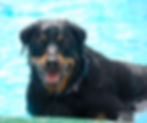 Cash LOVED to swim