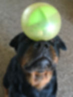 sueball