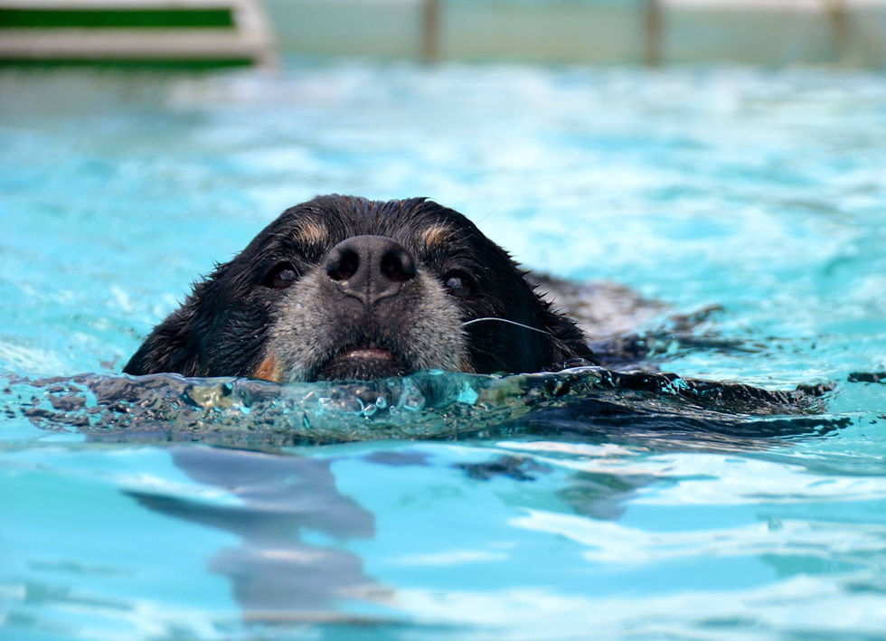 Swimming to mom!