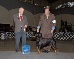LunaBella Grand Championship photo