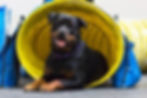 Lucy