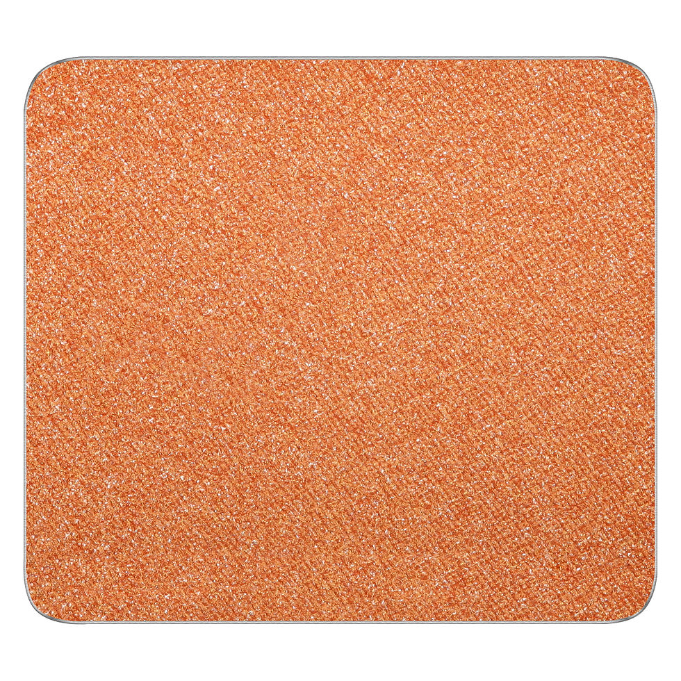 10 AMC FREEDOM SYSTEM EYE SHADOW SQ