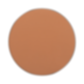 104 FREEDOM SYSTEM AMC PRESSED POWDER ROUND