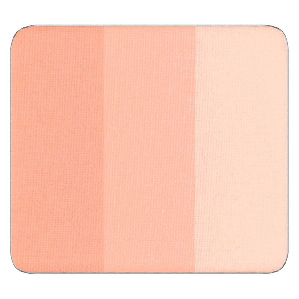 111 FREEDOM SYSTEM EYE SHADOW RAINBOW MATTE