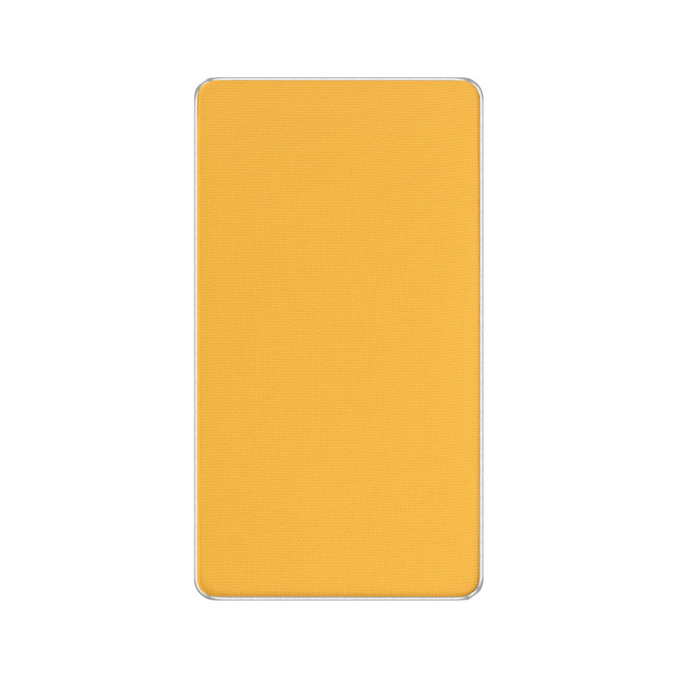 18 FREEDOM SYSTEM FACE BLUSH