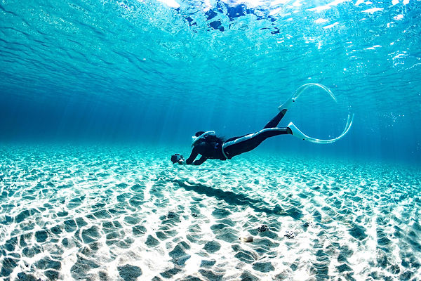 スキンダイビング BLUE∞LIFE