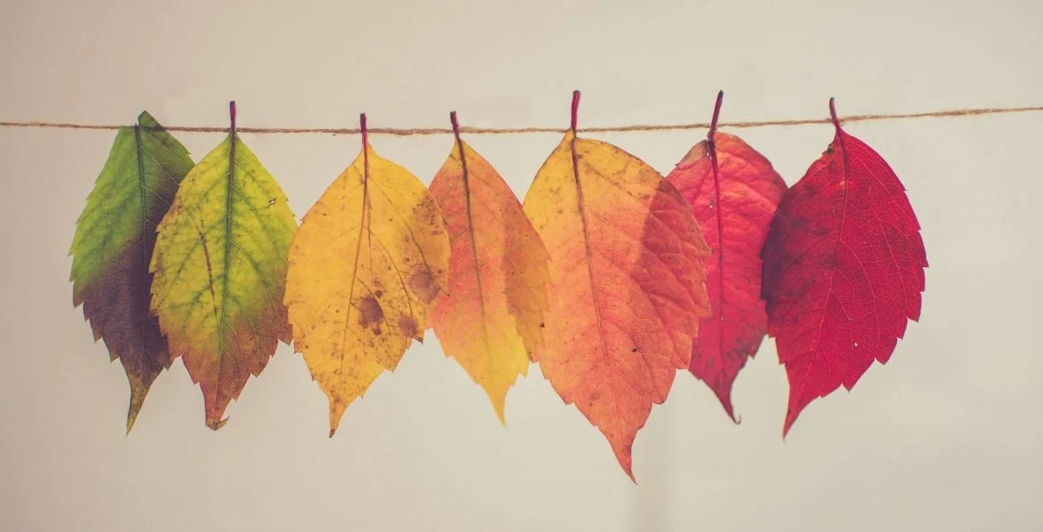 Herfstdeal.webp