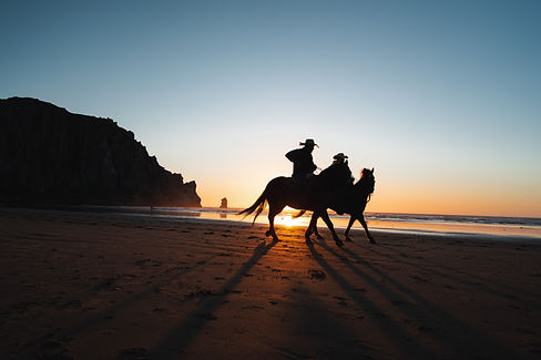 AdobeStock_338169027.jpeg