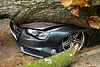 Tree Emergency In St Catharines