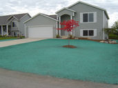 How Long Does It Take for Hydroseeding to Grow
