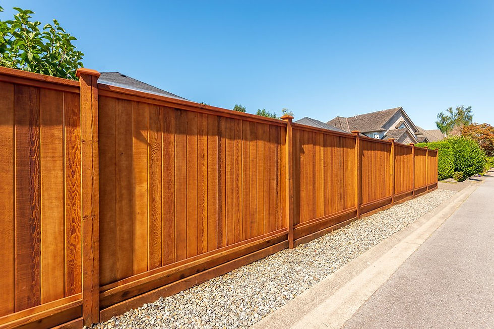 fences.jpg
