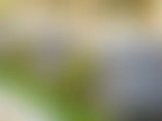 Preparing Your Air Conditioning and Heat Pumps for Early Spring in Niagara