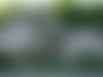 Vinyl vs. Fiber Cement Siding: What’s Best for Your Burlington or Oakville Home?