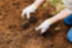 natural Compost St Catharines