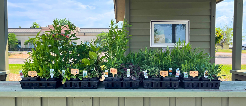 Our 2026 Plant Sale is Here!