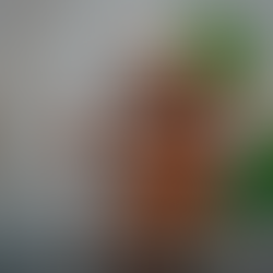 Kakao ist eine Versuchung wert.