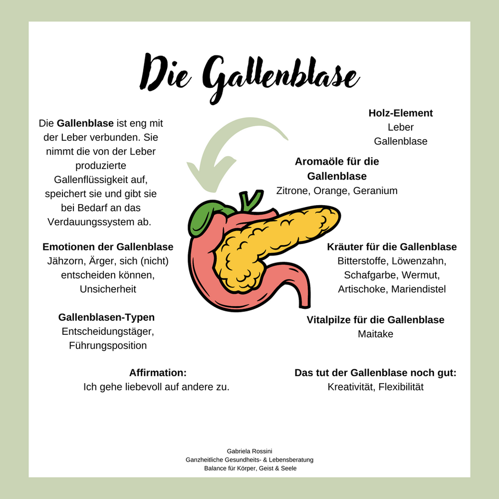 Die Gallenblase, die sich nicht enscheiden kann